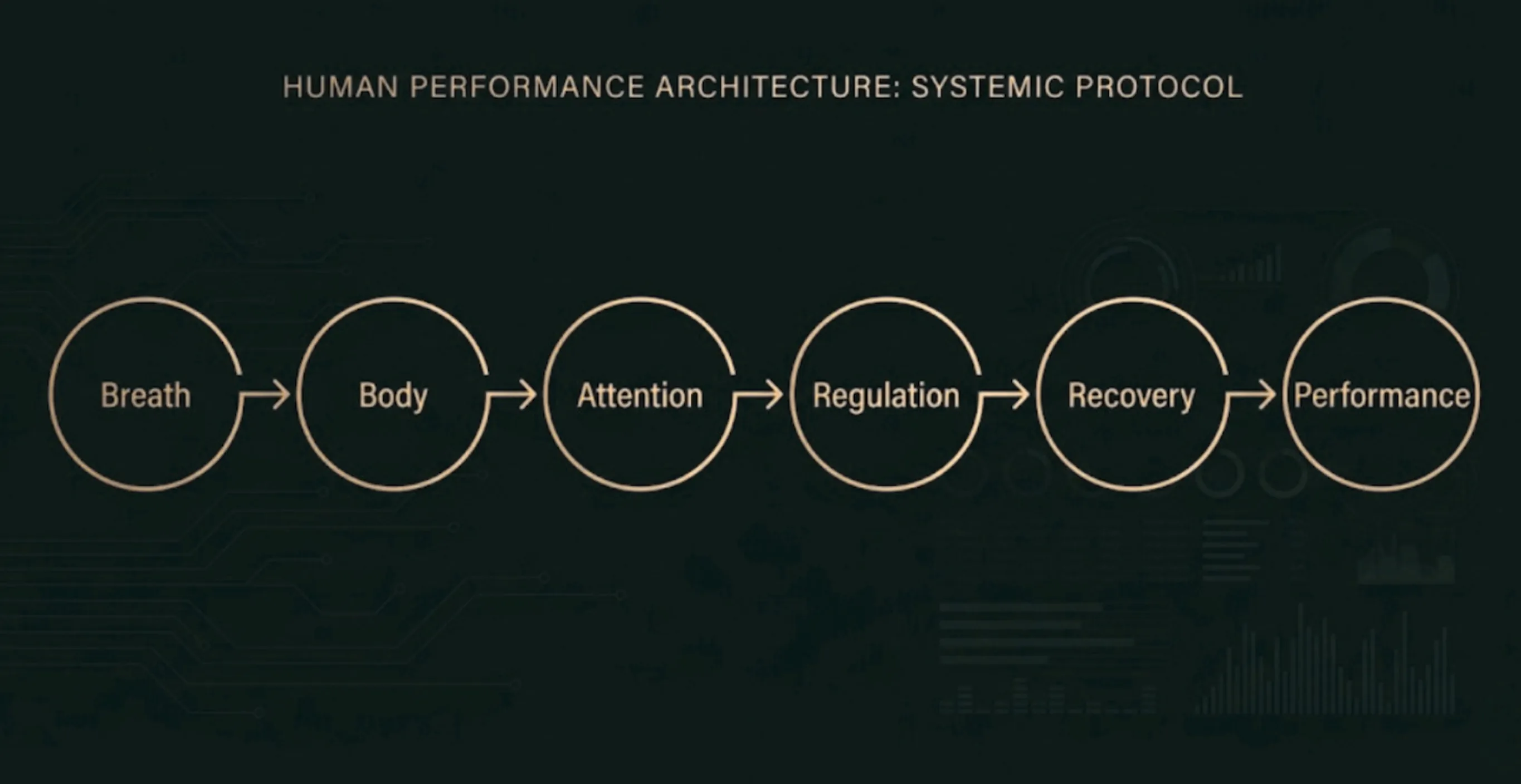 Diagram of human performance architecture