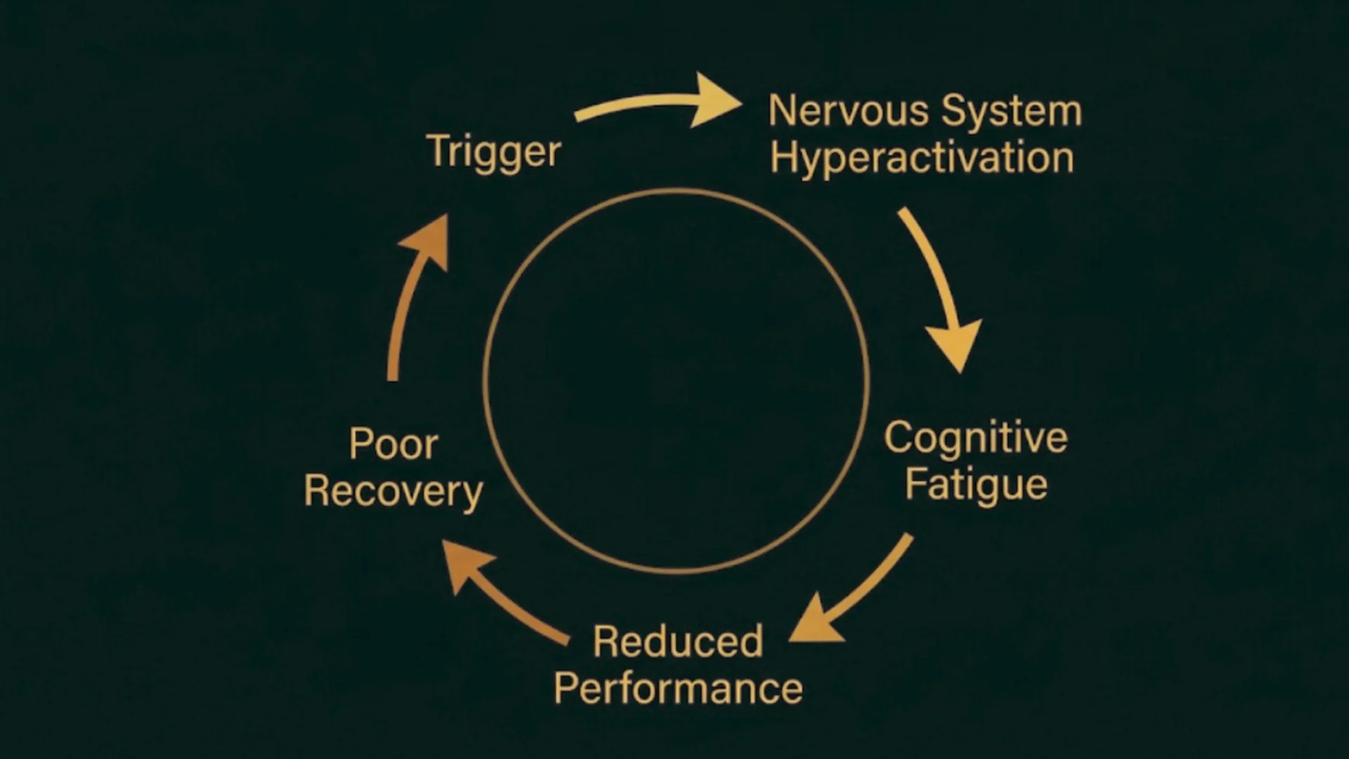Diagram of the nervous system stress cycle